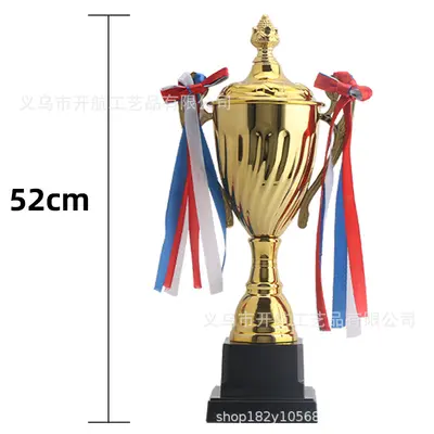 Gold, Silver and Bronze Metal Trophy Cups for School Sports - 7