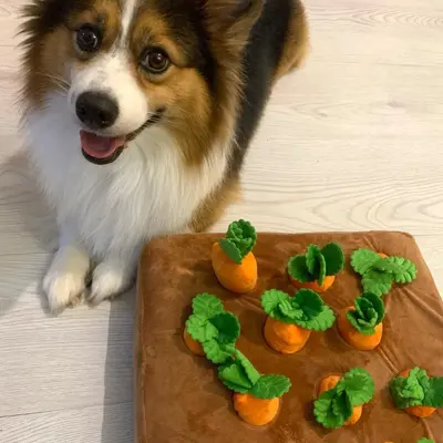 Köpek Oyuncağı Dayanıklı Havuç Çekme Zenginleştirme