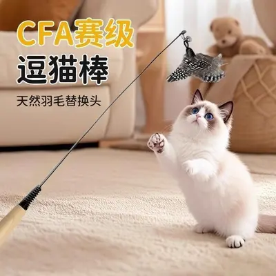 Long Handle Feather Cat Teaser Wand, Durable - 2