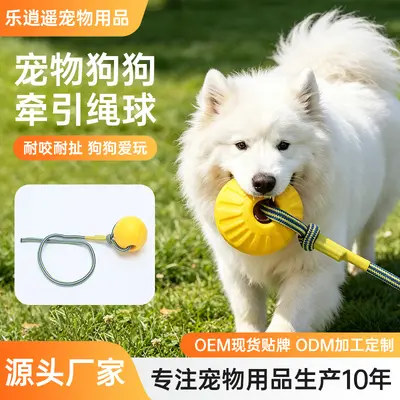 Köpek tug oyuncağı, orta/büyük irk, interaktif - 1