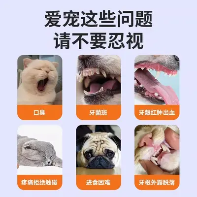 宠物洁牙笔牙刷笔牙膏一体猫狗口腔清洁结石除口臭狗狗猫咪刷牙用