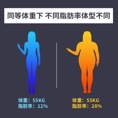 体重秤APP充电体脂秤AI跨境智能卡通蓝牙家用电子秤精准做logo定