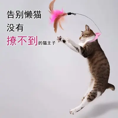 Wearable Cat Teaser Wand with Collar, Feather and Bell Cat Toy - 1