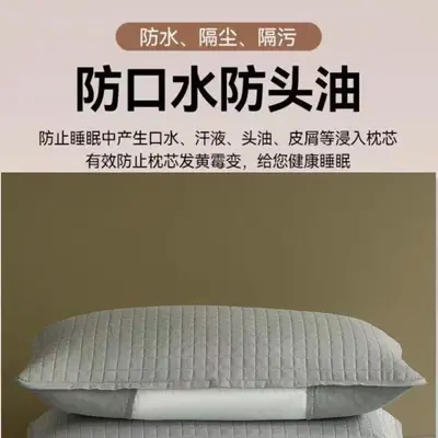 除螨隔脏防口水枕套防头油枕芯保护隔离层内胆套枕头套一对装外贸