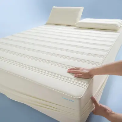 Waterproof Fully Enclosed Mattress Protector, One-Piece, Non-Slip - 10