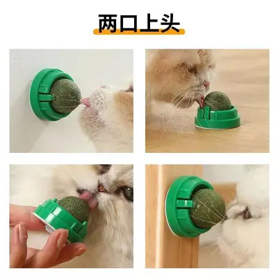 Catnip Ball Cat Toy, Durable Chew Toy with Teeth Cleaning and Boredom Relief - 5