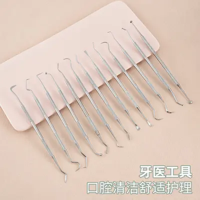 Stainless Steel Dental Cleaning Tool Set