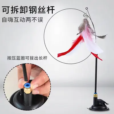 Strong Suction Cup Cat Teaser Wand, Detachable Long Pole, Self-Play - 5