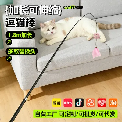 1.8cm Retractable Cat Teaser Wand with Feather Fish and Mouse Toys - 1