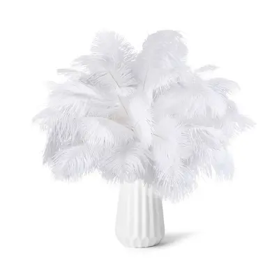 Straußenfeder-Dekoration 15-80 cm Hochzeit Tischdeko mehrfarbig