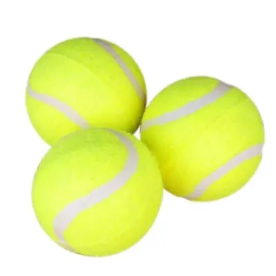 Köpek Oyuncak Topu, Elastik, Dayanıklı, Çiğneme Dirençli - 6