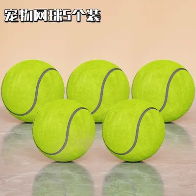 Durable Rubber Dog Chew Ball for Training and Teeth Care - 10