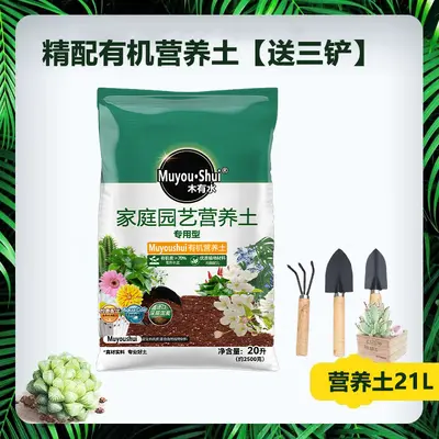 Lemon-Scented General Purpose Potting Soil, Loose and Breathable - 11