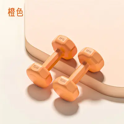 哑铃女士居家健身家用力量锻炼实心浸塑壶铃练臂初学者包胶小哑铃 - 9