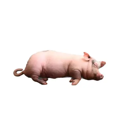 Realistisches kleines Muterschwein mit Plüschhaar Kuscheltier Puppe kreatives Schweinefleisch Umarmungskissen Kindergeräusche Streichelkissen Spielzeug Scherz-Geburtstagsgeschenk