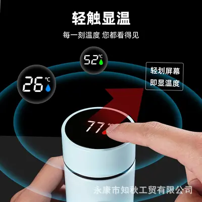 Thermos Cup, 304 Stainless Steel, Smart Temperature