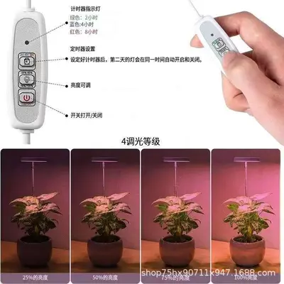 Tam spektrumlu bitki büyütme lambası, zamanlayıcılı, kısılabilir, USB