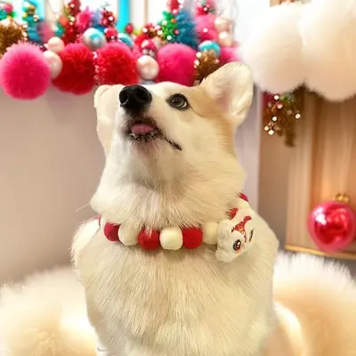 Plush Lion Dance Pet Collar for Cats and Dogs New Year