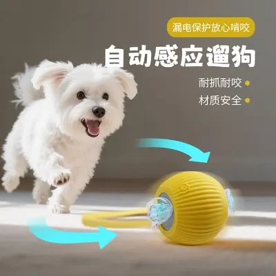 Automatic Dog Ball Toy, Chew-Resistant, for Small Dogs - 1