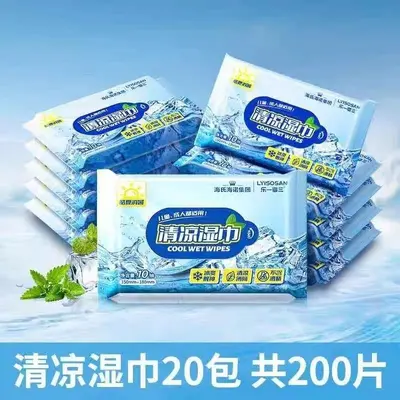 Mint Cooling Portable Wet Wipes for Summer