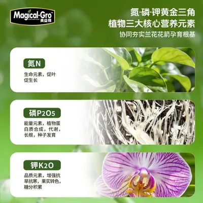 Orchid Nutrient Solution 700ml, Ready-to-Use, Strong Root Development - 3