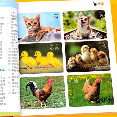 Children's Picture Book, Early Education, Ages 0-3 - 3