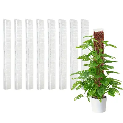 Transparent Extendable Moss Pole for Plant Climbing Support