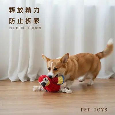 Plush Squeaky Bird Toy for Small and Medium Dogs - 2