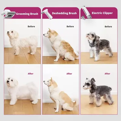 Petkit 5-in-1 Pet Grooming Tool with Electric Vacuum for Dogs and Cats