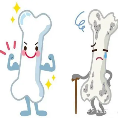 牛骨胶原蛋白肽粉/脱色脱腥，小分子易吸收，量大优惠