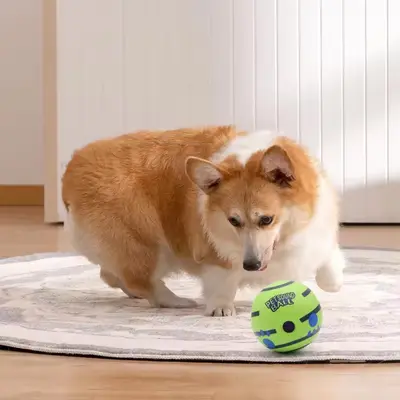 Chew-Resistant Pet Ball Dog Toy with Squeaker, Non-Electric