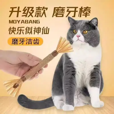 Cat Teaser Wand Toy Set, Chew Toy, Self-Play