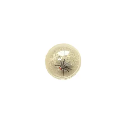Simulated Fly Cat Teaser Ball, Transparent, Durable Cat Toy - 5