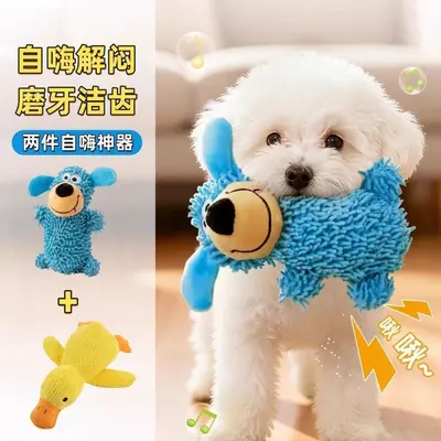 Squeaky Dog Chew Toy, Durable, for Small and Medium Dogs - 9