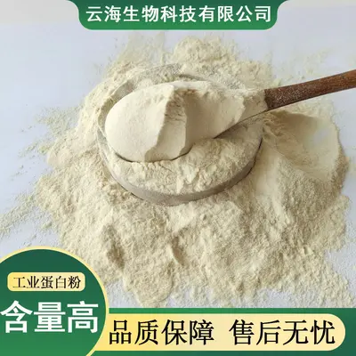 工业蛋白粉水解皮胶皮革填充涂料动物蛋白粉打腻子水解工业蛋白粉