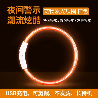 Rechargeable Light-Up Collar for Dogs and Cats - 13