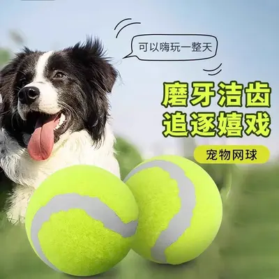 Tenis Topu Köpek Oyuncağı, Elastik Rebound Top, Dış Mekan Eğitim Topu