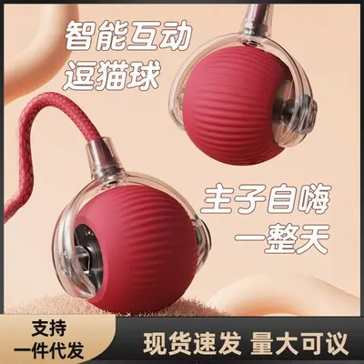 猫咪玩具球自嗨球逗猫逗狗滚滚球毛宠物解闷毛绒球猫玩具宠物玩具 - 2