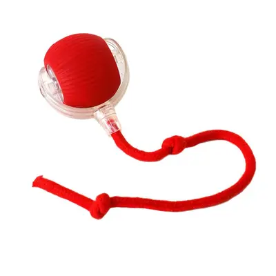 Cross-border Durable Bite-resistant Automatic Interactive Cat Toy Ball Self-entertaining Stress Relief Cat Play Toy Bouncing Ball Pet Supplies