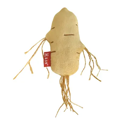Gerçekçi ginseng bebek kedi oyuncağı, nane çıngıraklı, evcil hayvan oyuncağı - 6