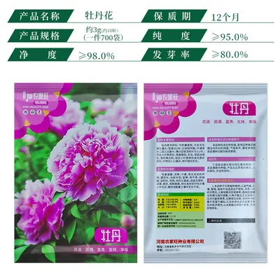 Peony Flower Seeds, Cold-Resistant and Easy to Grow for Garden and Balcony