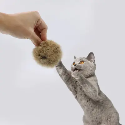 厂家直销批发猫玩具自嗨逗猫球兔毛皮毛逗猫球兔毛皮毛猫咪玩具