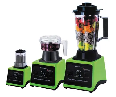 110V Entsafter Glasbecher Mixer 2 in 1 - 12