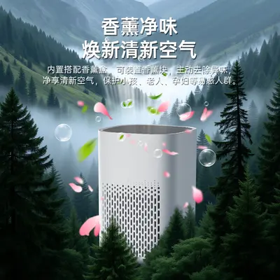 USB Gift Air Purifier for Smoke, Odor and PM2.5 Removal