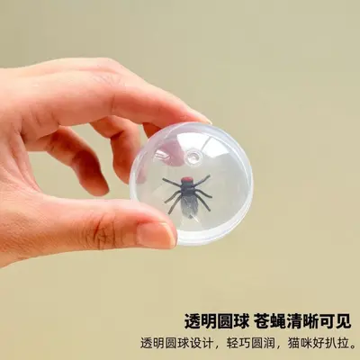 Simulated Fly Cat Teaser Ball, Transparent, Durable Cat Toy - 3