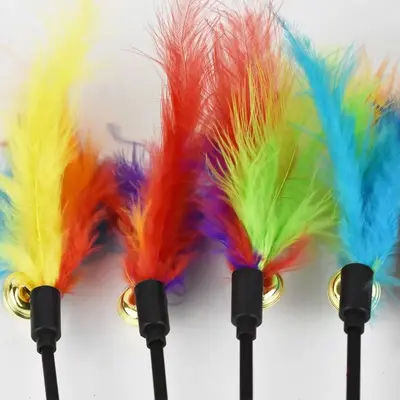 Macaron Color Feather Cat Teaser Wand 50cm 60cm - 10