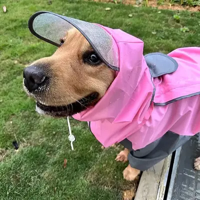 Köpekler için yansıtıcı yağmurluk, tek parça tulum