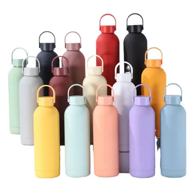 350 ml Paslanmaz Çelik Yalıtımlı Şişe, Dar Ağızlı, Saplı