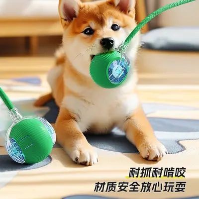 Electric Automatic Dog Walking Ball, Chew-Resistant Smart Dog Toy - 3