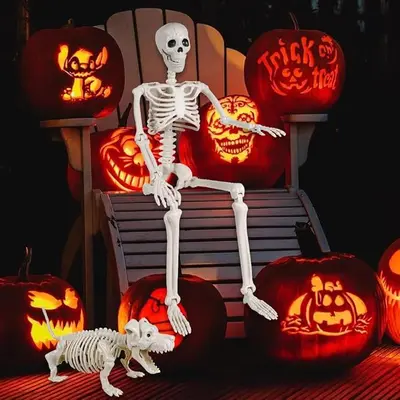 Halloween Skeleton Figure, Realistic Human Skeleton Walking Dog, Party and Yard Decoration